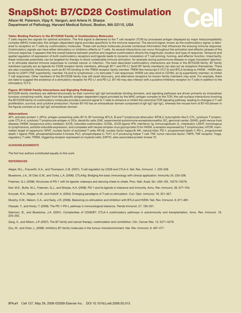 B7-CD28 Costimulation.PDF_第2页