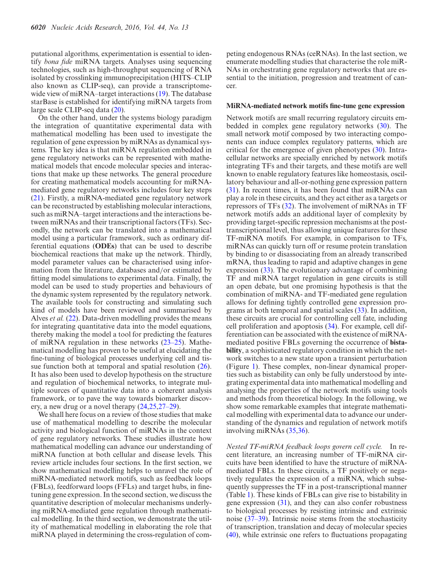 Understanding microRNA-mediated gene regulatory networks through mathematical modelling.pdf_第2页