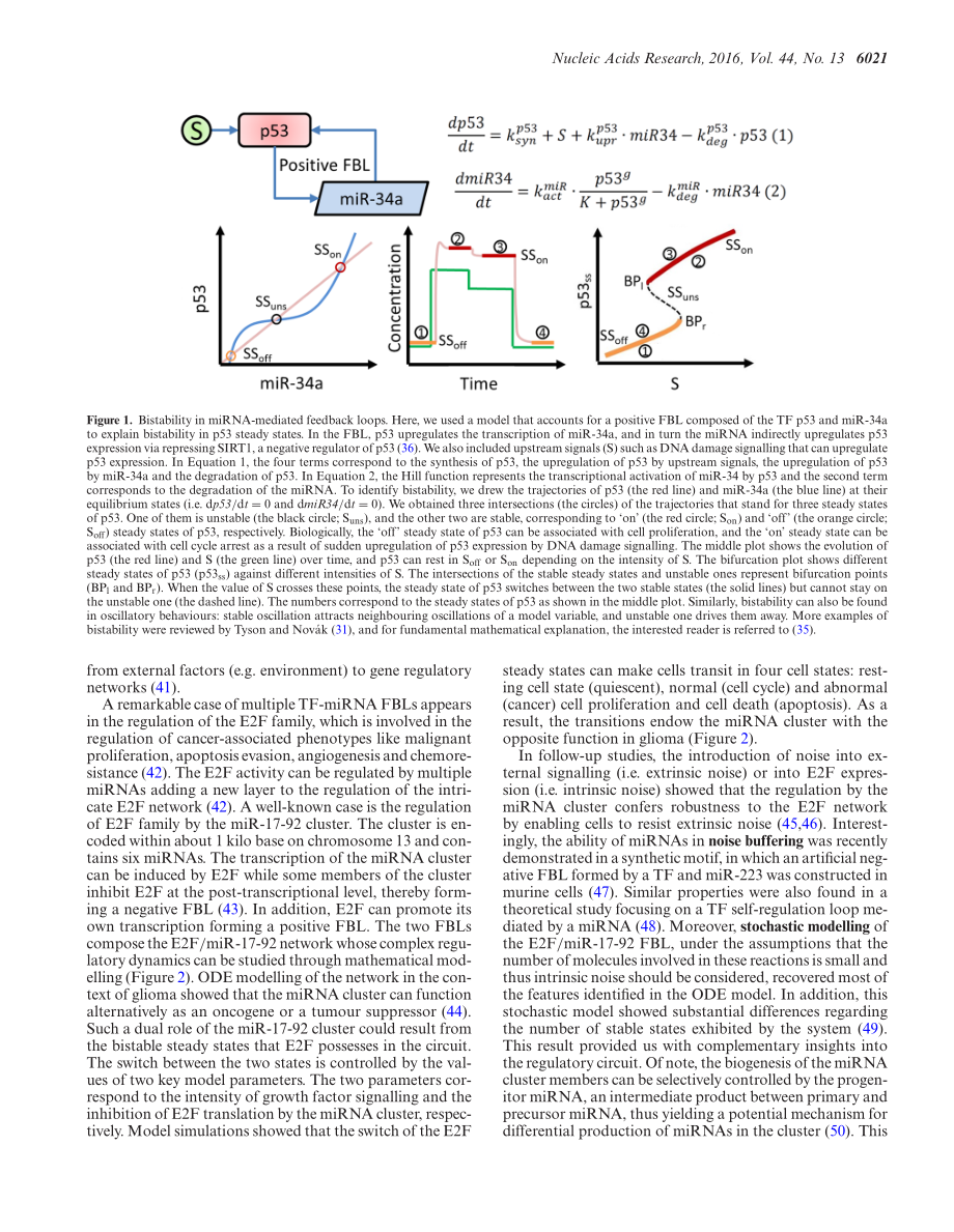 Understanding microRNA-mediated gene regulatory networks through mathematical modelling.pdf_第3页