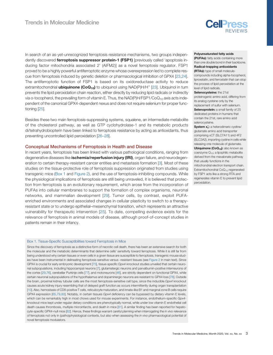 Targeting Ferroptosis New Hope for As-Yet-Incu.pdf_第3页