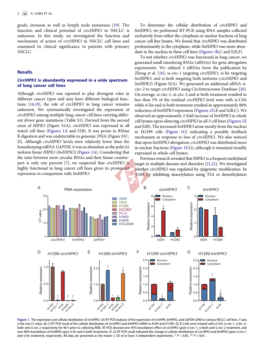 PMID：31232177.pdf_第3页