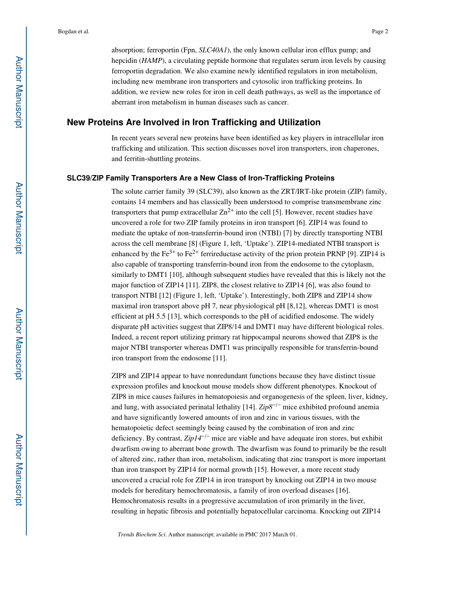 Regulators of Iron Homeostasis- New Players in Metabolism, Cell Death, and Disease.pdf_第2页