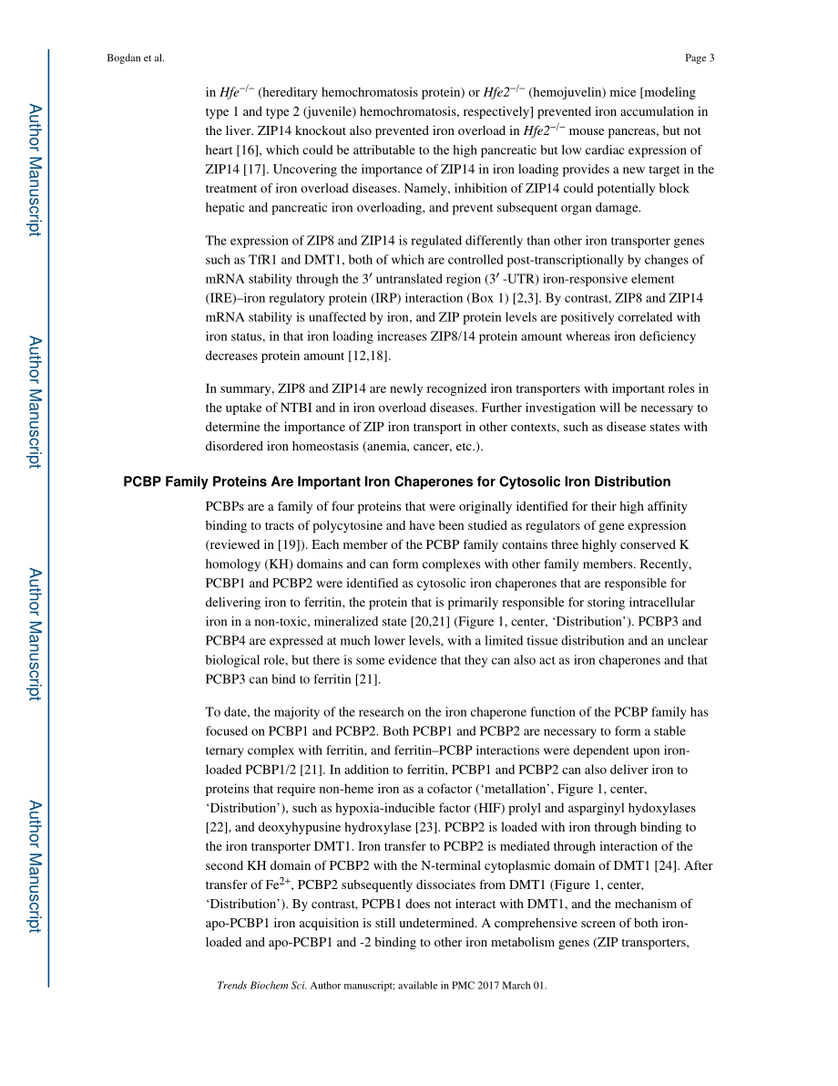 Regulators of Iron Homeostasis- New Players in Metabolism, Cell Death, and Disease.pdf_第3页