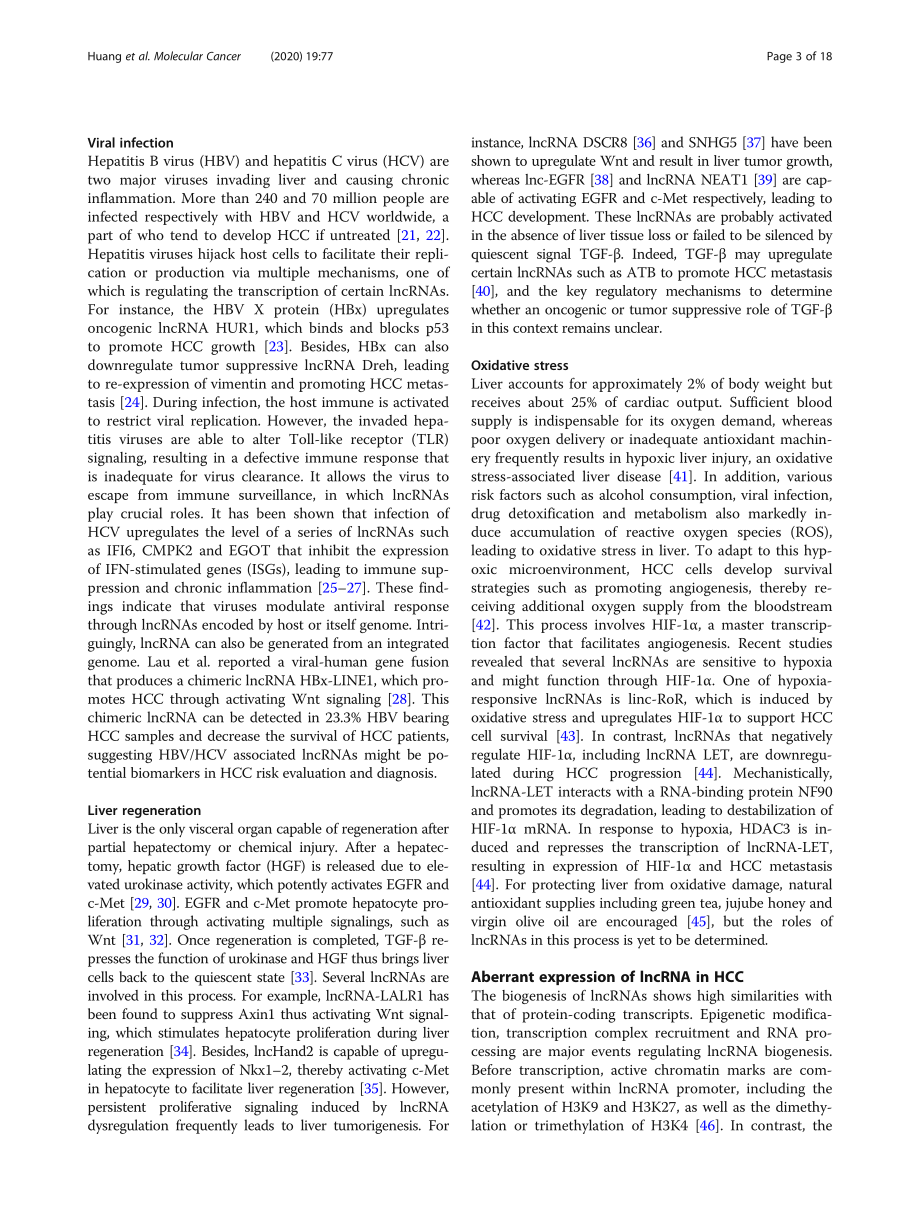 The role of long noncoding RNAs in hepatocellu.pdf_第3页