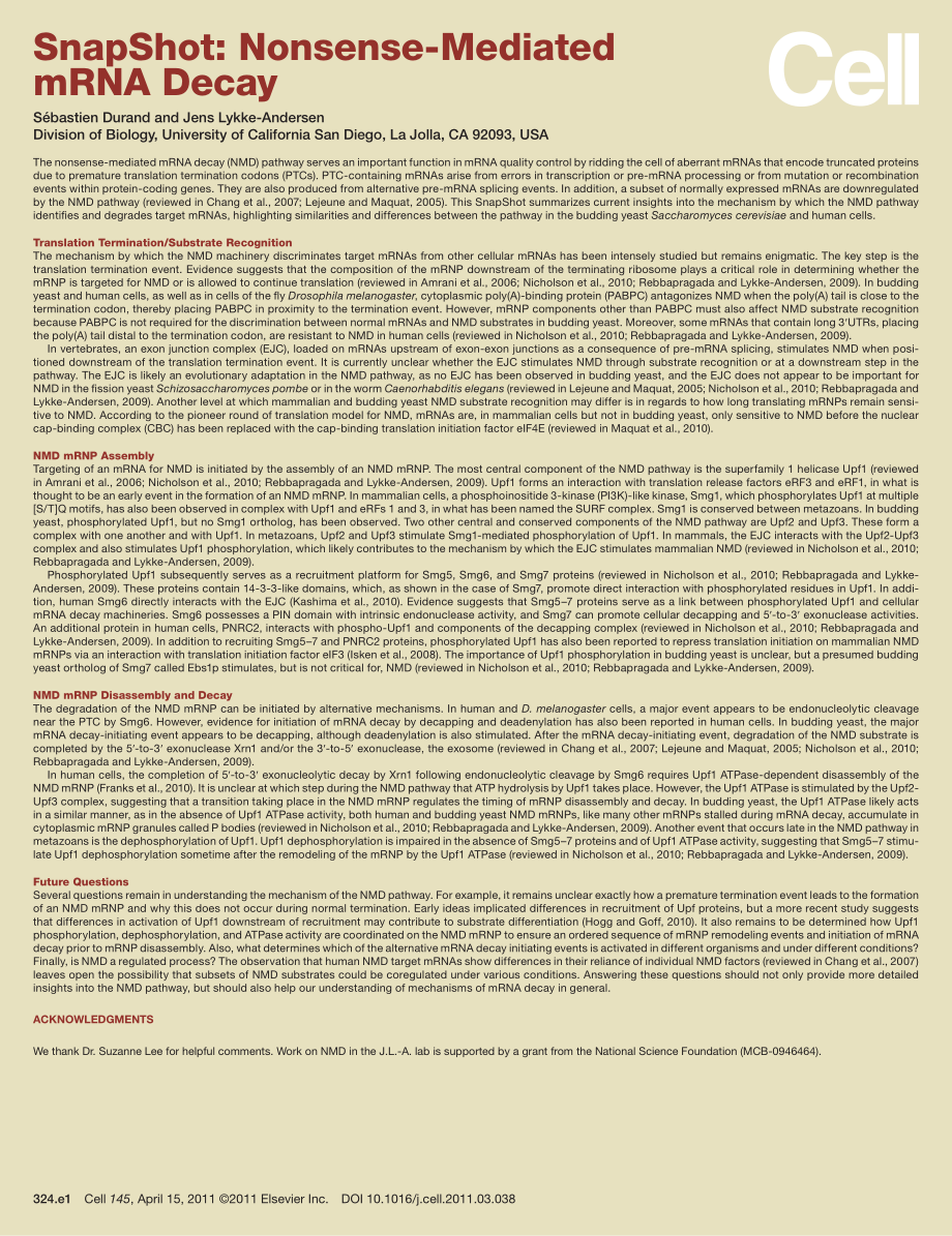 Nonsense-Mediated mRNA Decay.pdf_第2页