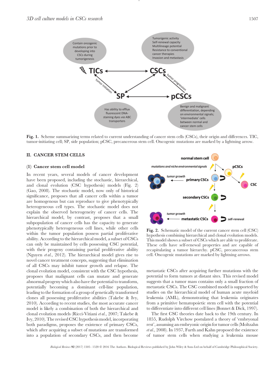 Bielecka-2017-Three-dimensional cell culture m.pdf_第3页