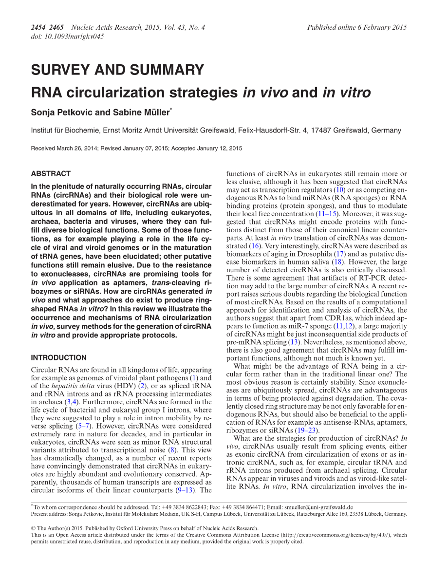 RNA circularization strategies in vivo and in vitro.pdf_第1页