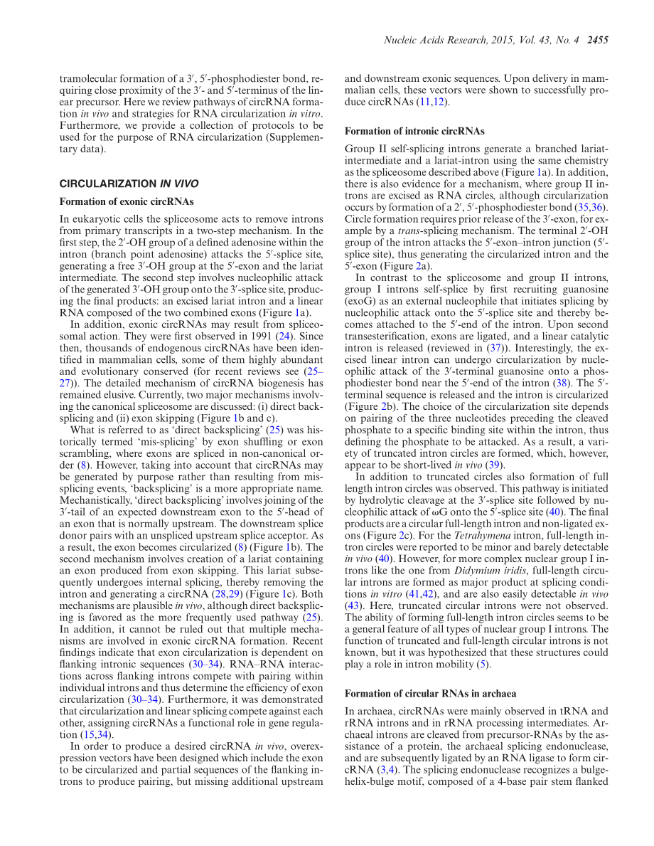 RNA circularization strategies in vivo and in vitro.pdf_第2页