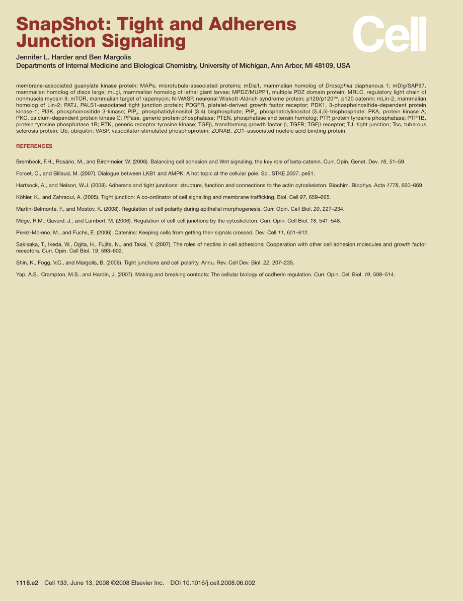 Tight and Adherens Junction Signaling.PDF_第3页