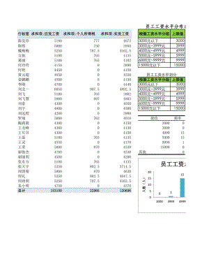 员工工资水平分布图.xlsx