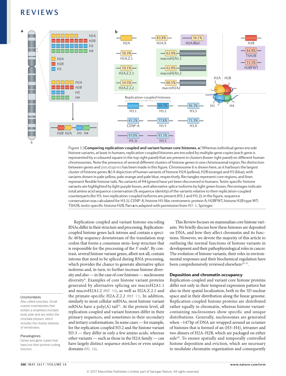 Buschbeck-2017-Variants of core histones and t.pdf_第2页