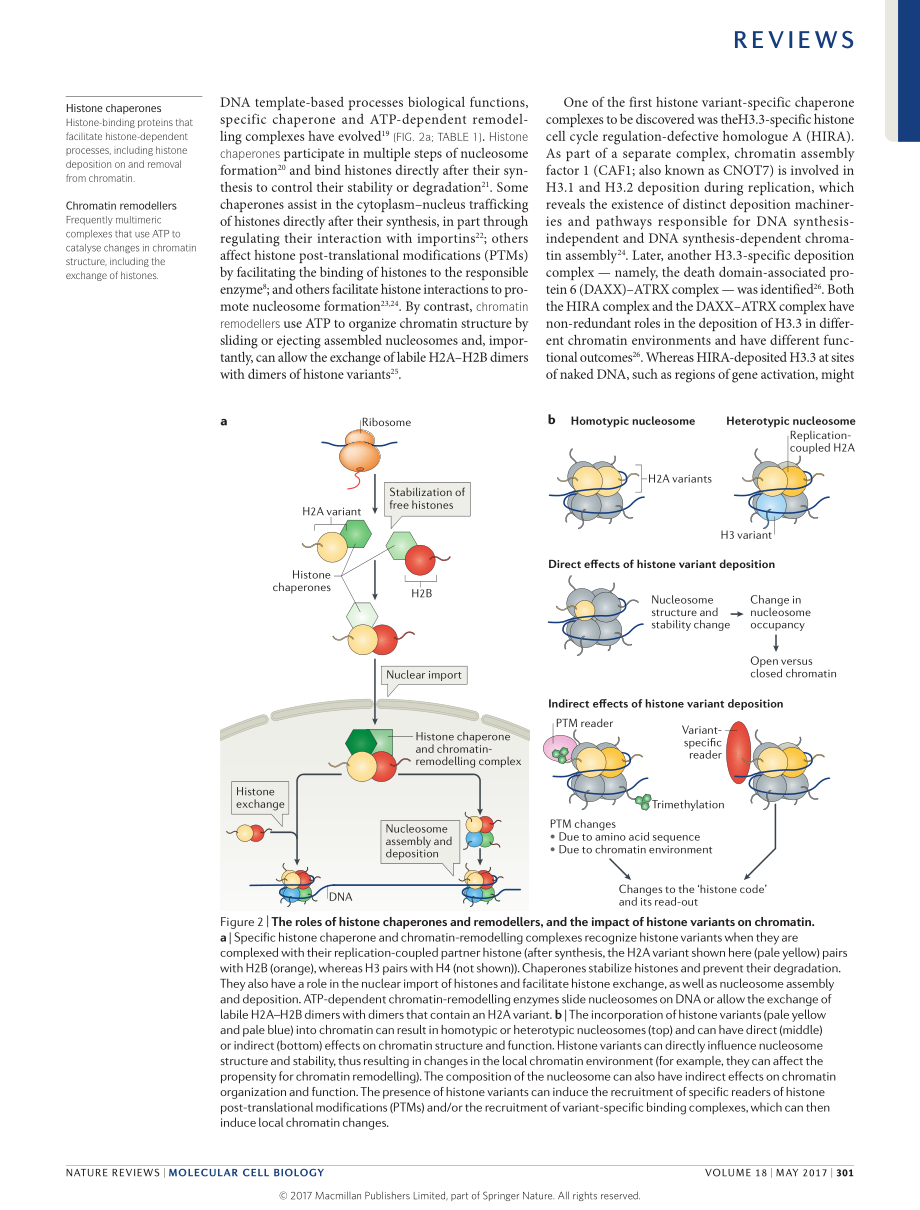 Buschbeck-2017-Variants of core histones and t.pdf_第3页