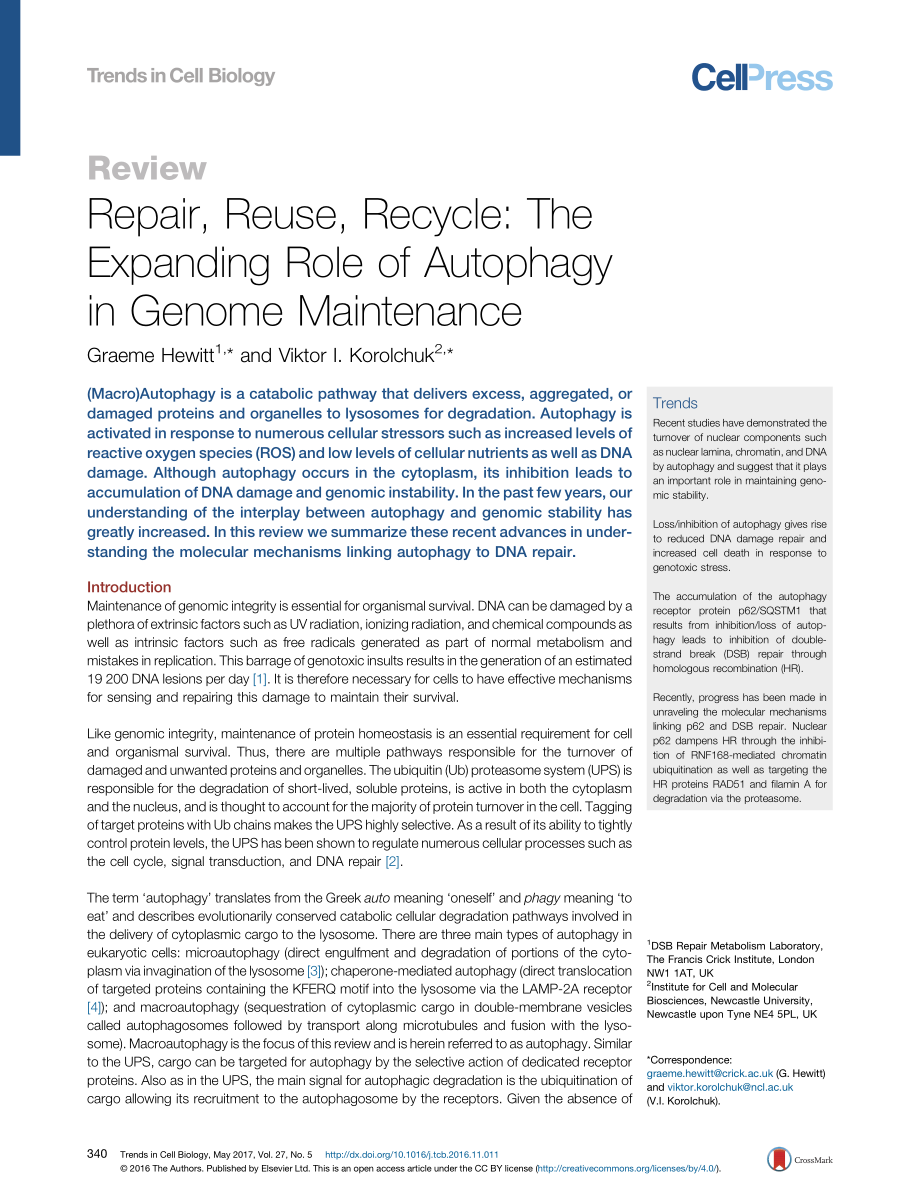 Repair, Reuse, Recycle-The Expanding Role of Autophagy in Genome Maintenance.pdf_第1页