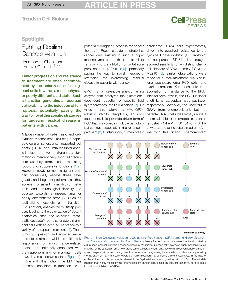 Fighting Resilient Cancers with Iron.pdf_第1页