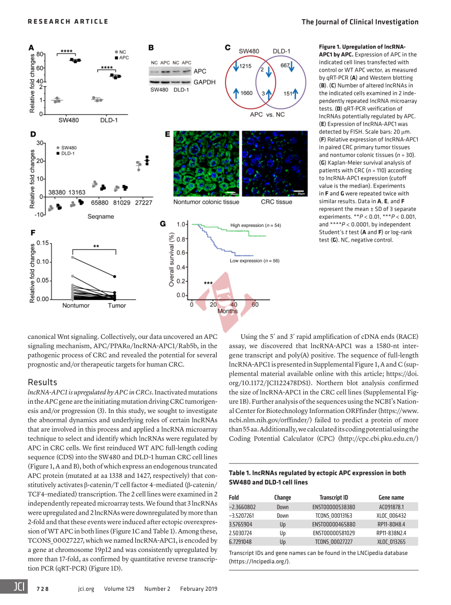 PMID：30511962.pdf_第3页