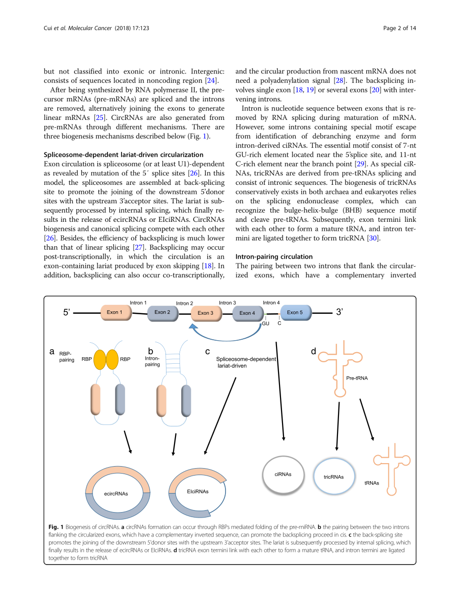 Emerging function and potential diagnostic val.pdf_第2页