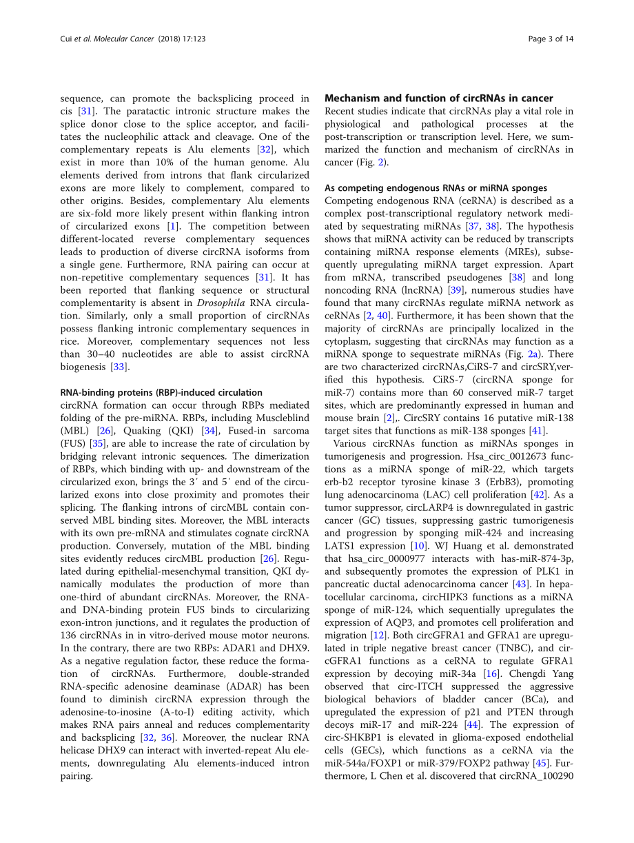 Emerging function and potential diagnostic val.pdf_第3页