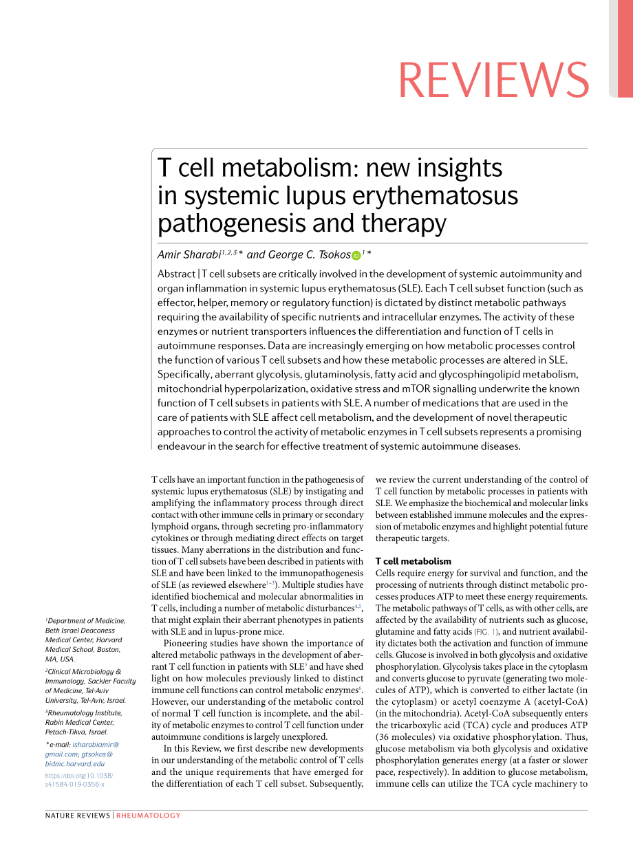 T cell metabolism new insights in systemic lup.pdf_第1页