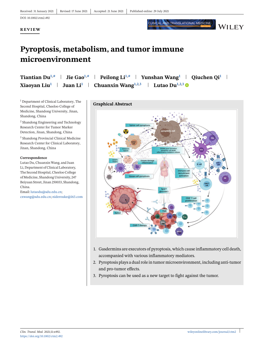 Pyroptosis, metabolism, and tumor immune microenvironment.pdf_第1页