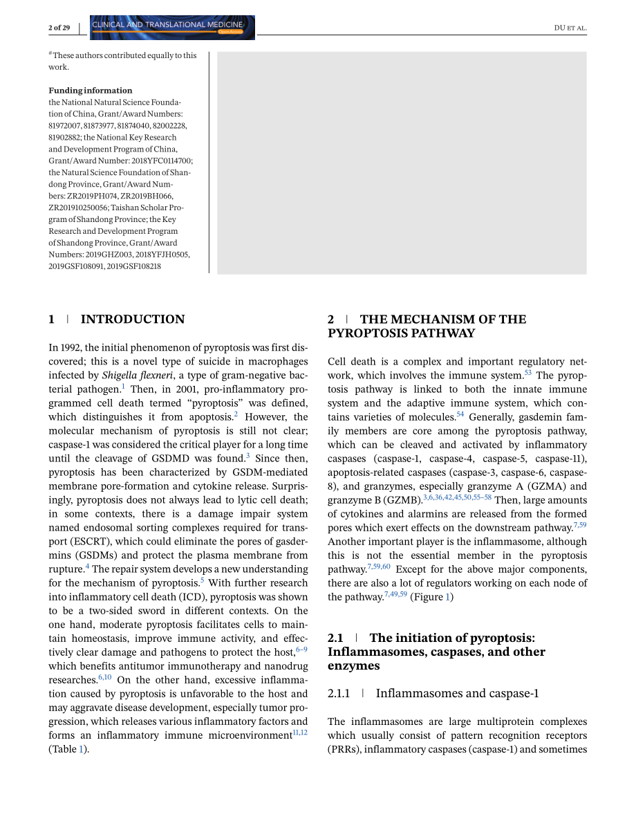 Pyroptosis, metabolism, and tumor immune microenvironment.pdf_第3页