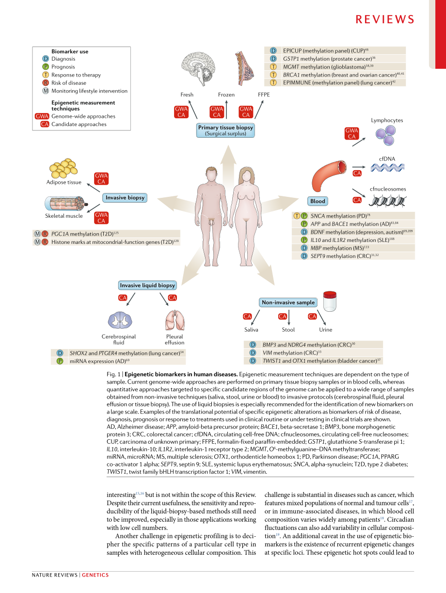 Clinical epigenetics-seizing opportunities for translation.pdf_第3页