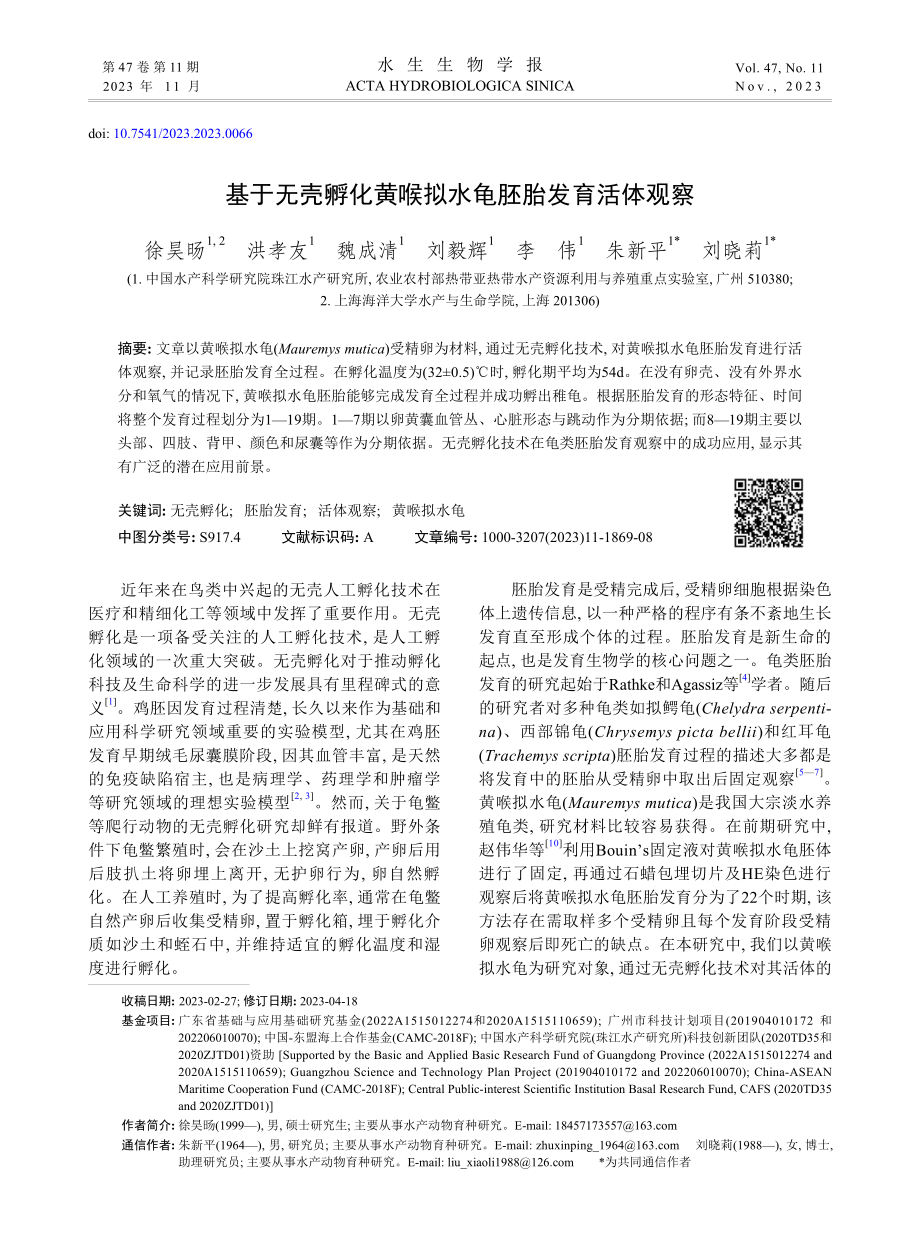 基于无壳孵化黄喉拟水龟胚胎发育活体观察.pdf_第1页