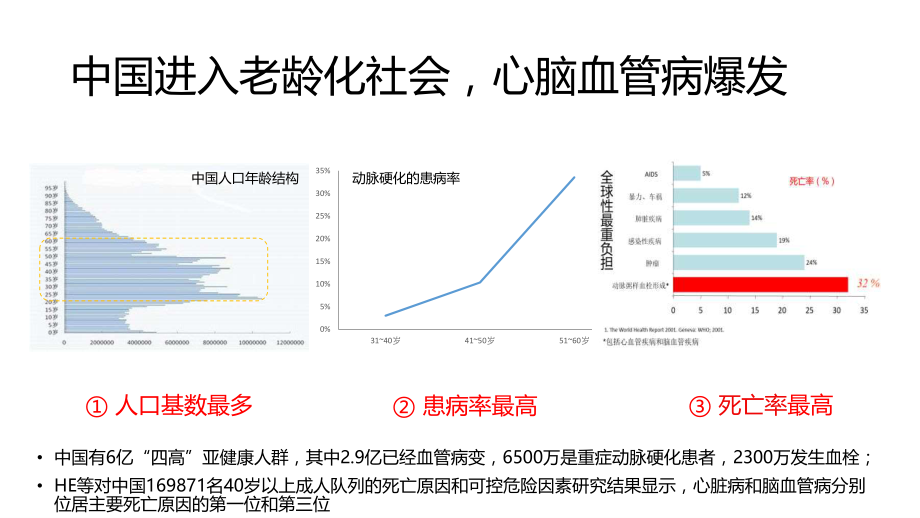 掌上血管医生商业计划书.pdf_第2页