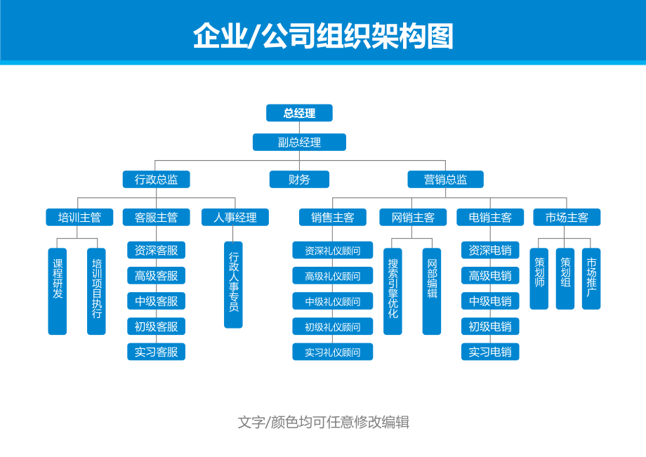 【销售公司】-01-组织架构图 (2).docx_第1页