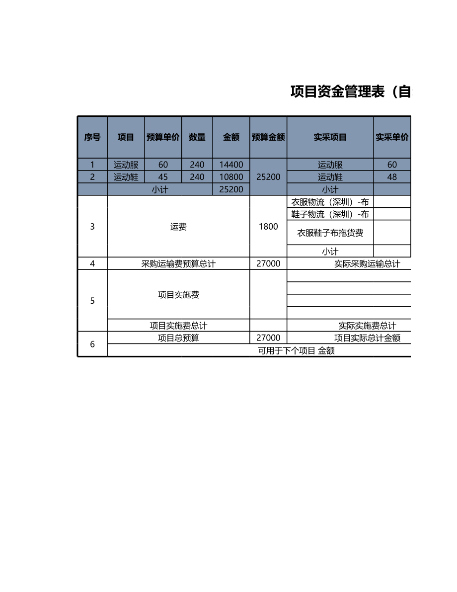 27 -项目资金管理表（自动计算） (2).xlsx_第1页