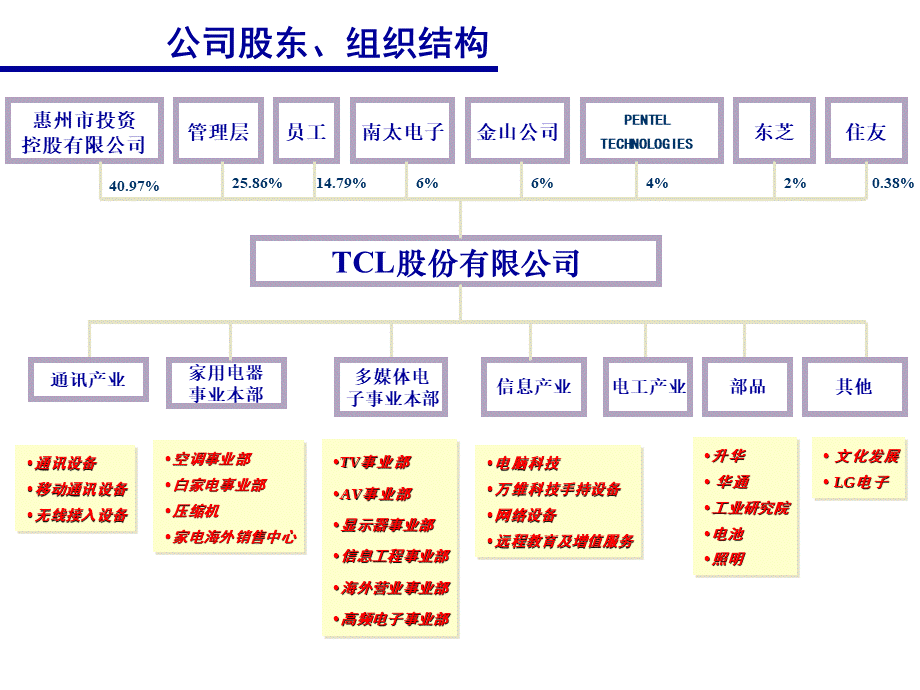 【案例分析】TCL战略及企业文化-44页 (3).ppt_第3页