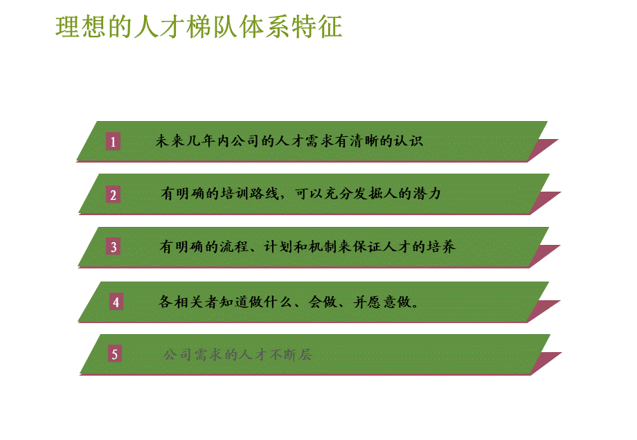 【方案】人才梯队建设实施方案.ppt_第3页