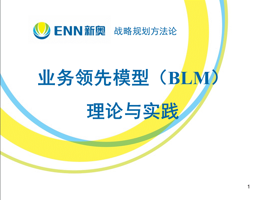 OD工具箱：业务领先模型(BLM)理论与实践.ppt_第1页