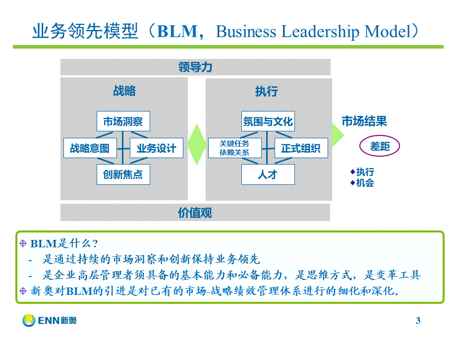 OD工具箱：业务领先模型(BLM)理论与实践.ppt_第3页