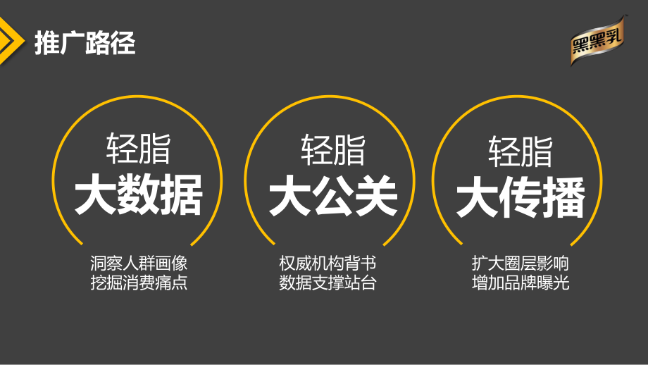 17.【郎琴呈送】中国轻脂日公关行动传播推广方案.pdf_第3页