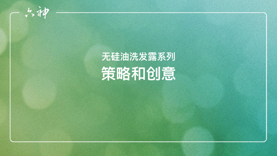 六神洗发水品牌年轻化年度比稿提案.pdf_第3页