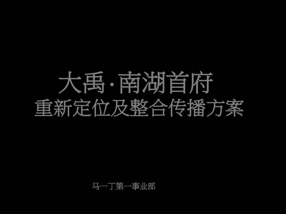 49.马一丁-大禹南湖首府重新定位及传播方案.pdf_第1页