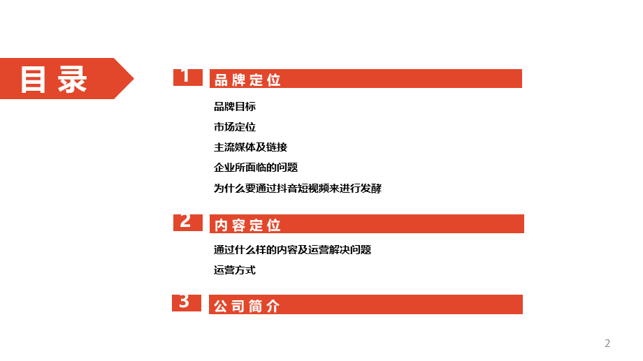 海马集团抖音短视频生态计划.pptx_第2页