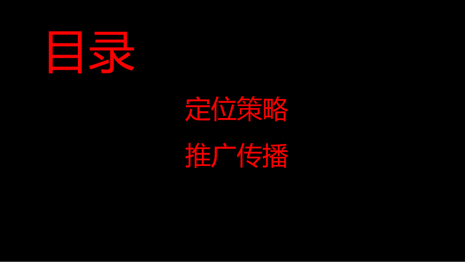 28.海口华彩海港城定位传播提报.pdf_第2页