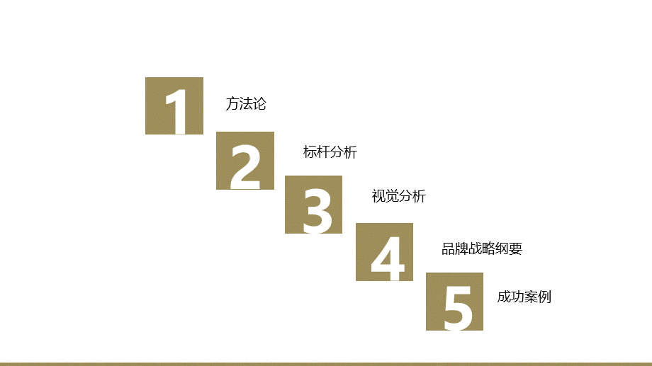 42.欧赛斯百奥财富品牌战略规划思路方案.ppt_第3页