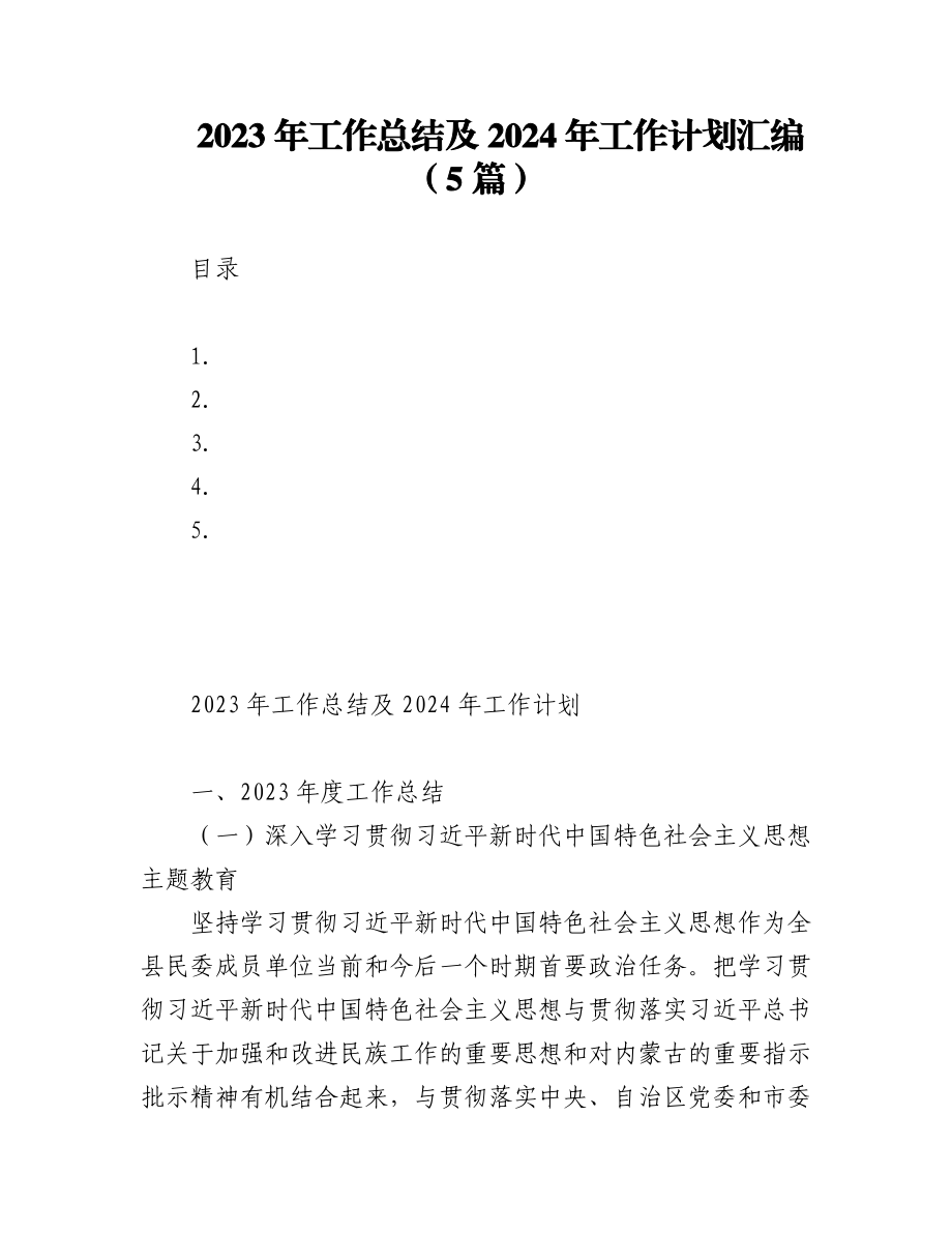 2023年工作总结及2024年工作计划汇编（5篇）.docx_第1页