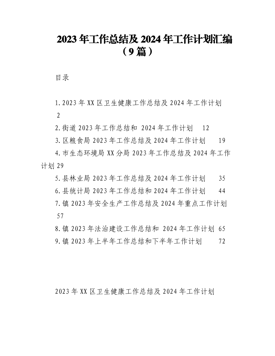 2023年工作总结及2024年工作计划汇编（9篇）.docx_第1页