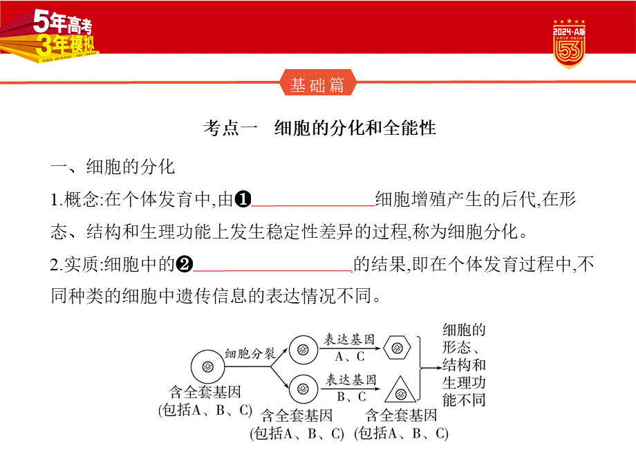 1_08-专题八　细胞的分化、衰老和死亡.pptx_第2页