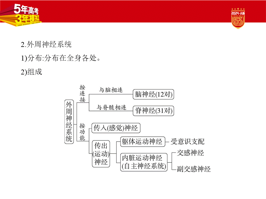 1_17-专题十七　神经调节.pptx_第3页