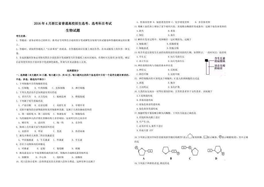 2016年浙江省高考生物【4月】（原卷版）（www.ximiyu.com）.doc_第1页