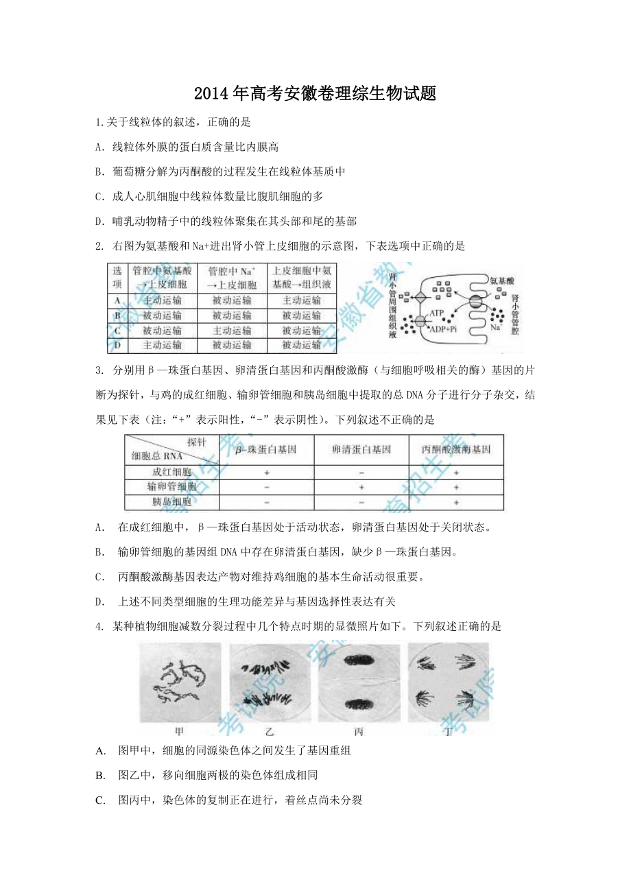 2014年安徽高考生物真题及答案.docx_第1页