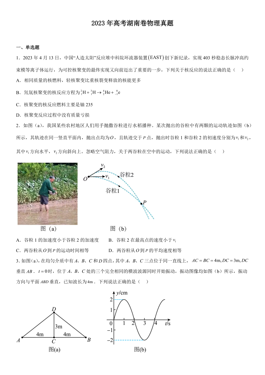 湖南物理-试题 .docx_第1页