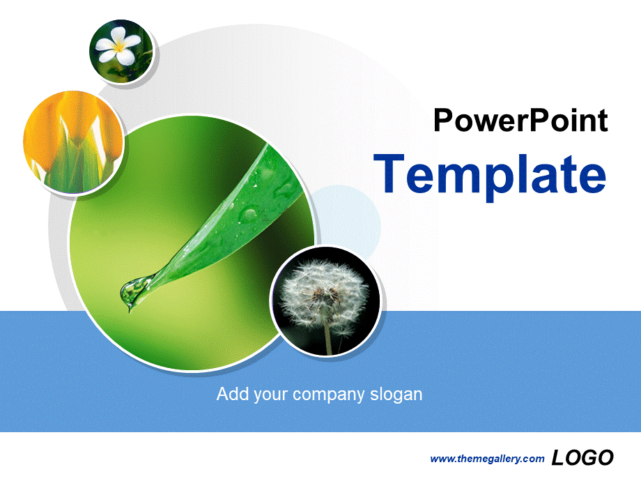 PowerPoint Template.pptx_第1页