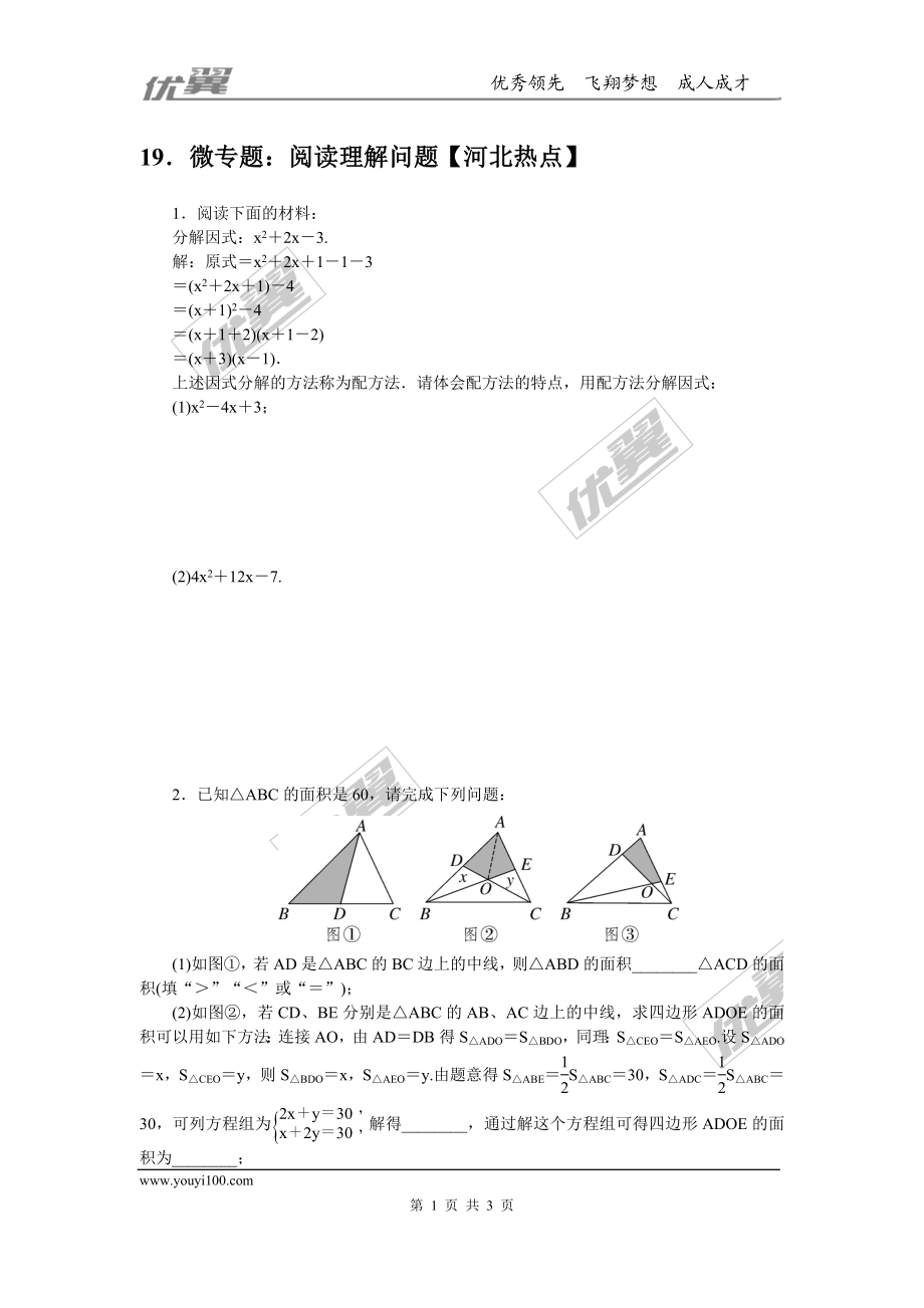 19.微专题：阅读理解问题【河北热点】.doc_第1页