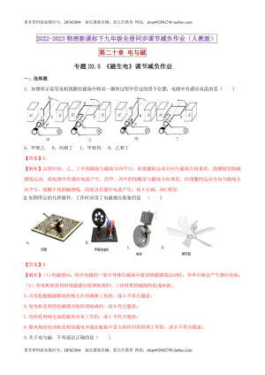 20.5 磁生电（解析版） .docx