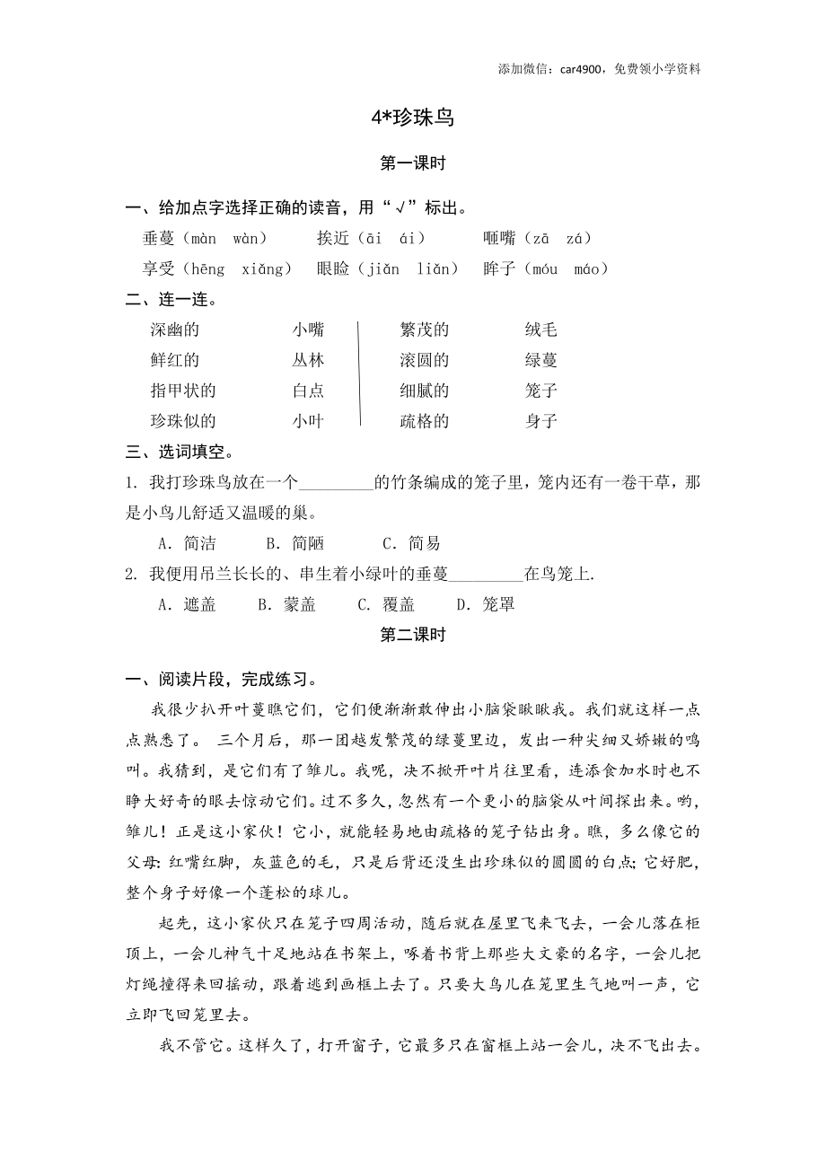 4 珍珠鸟.docx_第1页